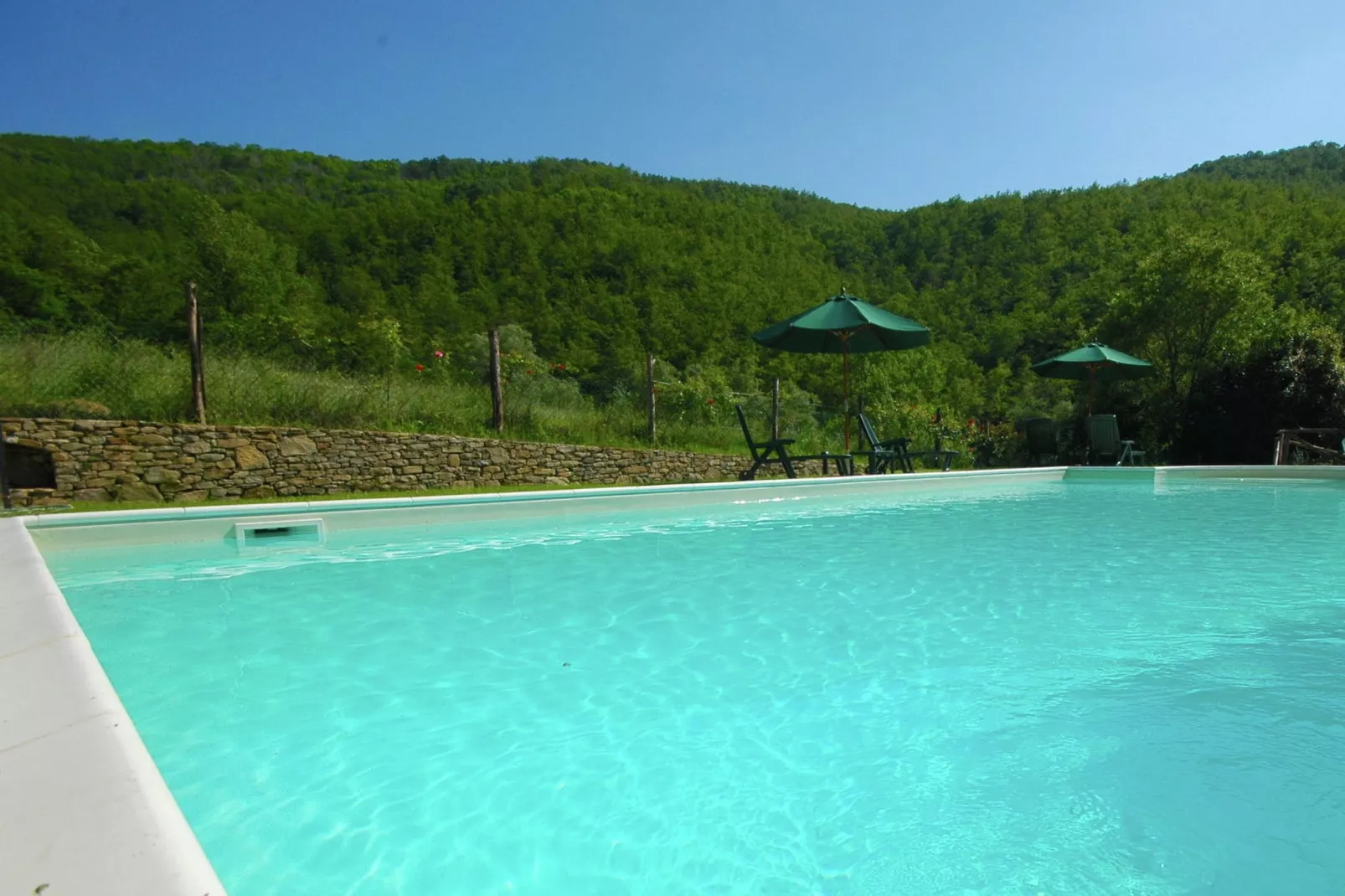 Liscino-Pool