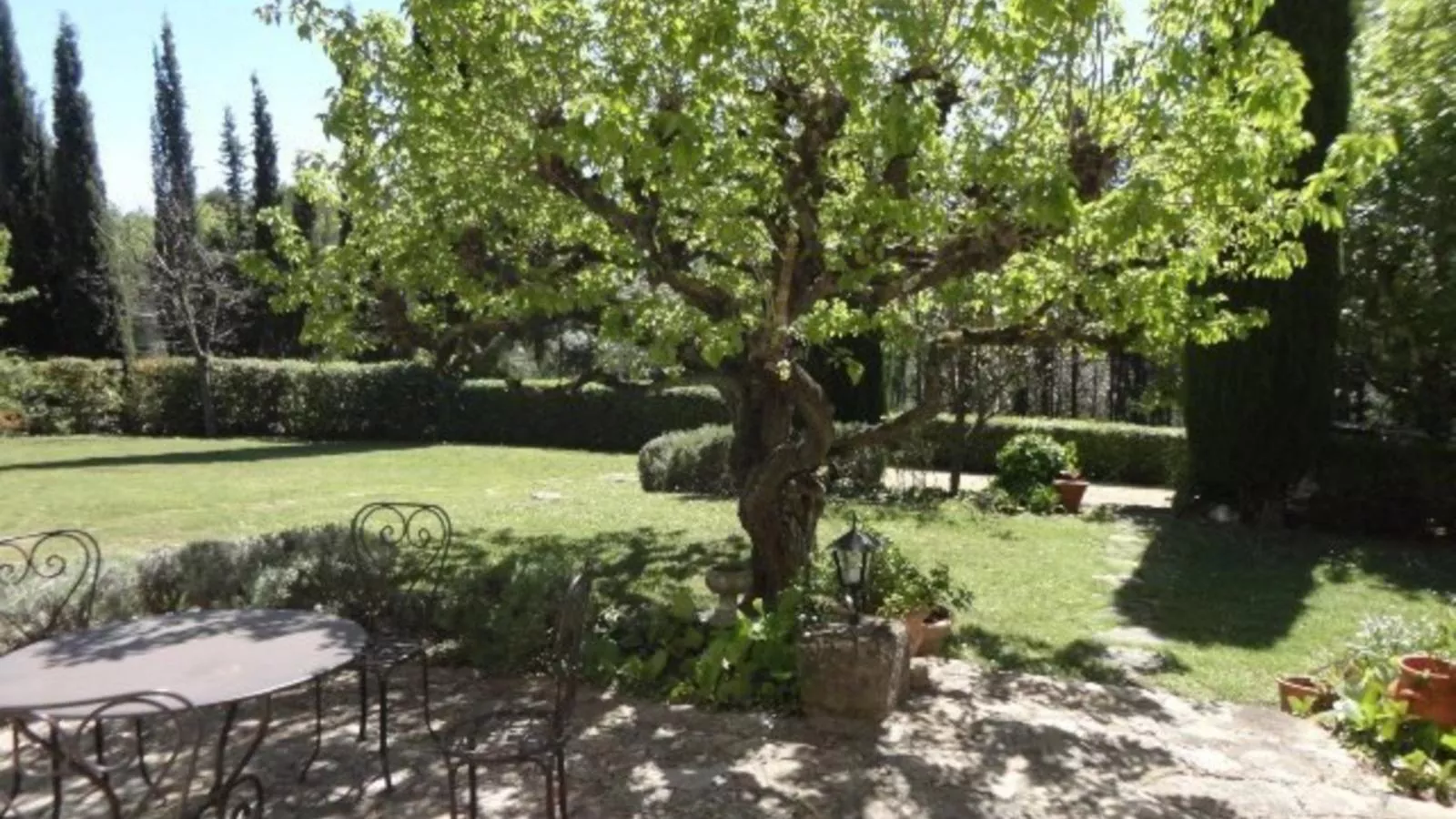 Le Mas dormant-Gardens summer
