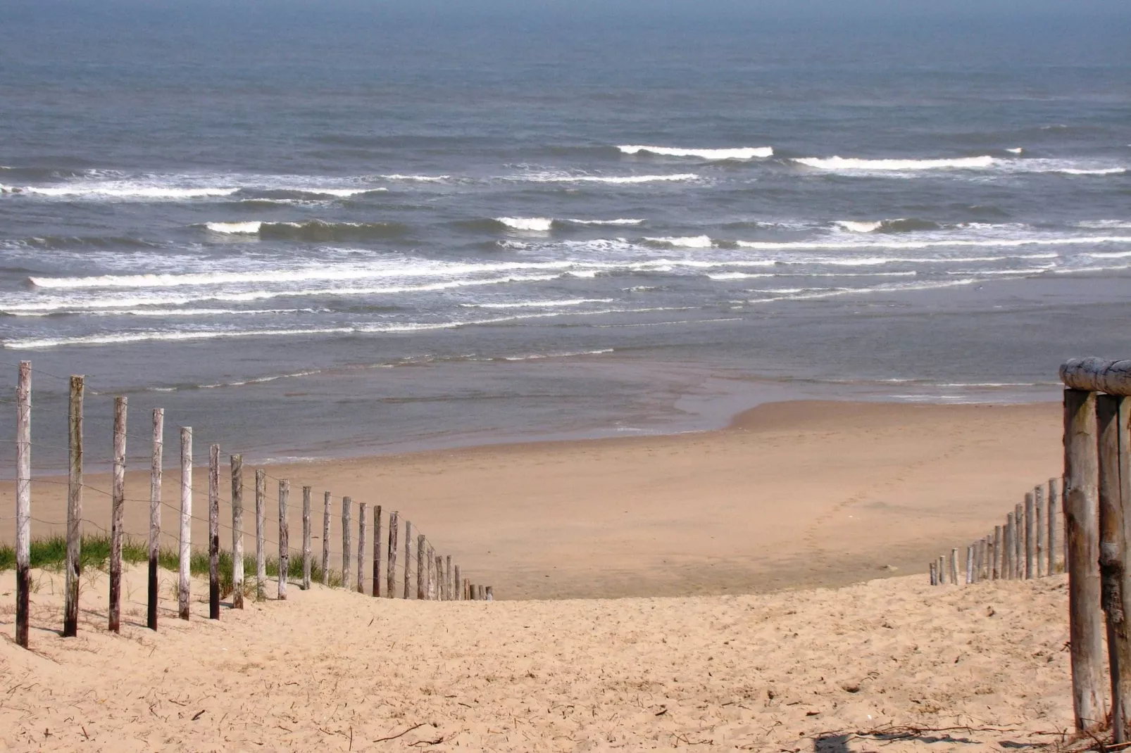 Bungalowpark de Gouden Spar 5-Areas summer 5km