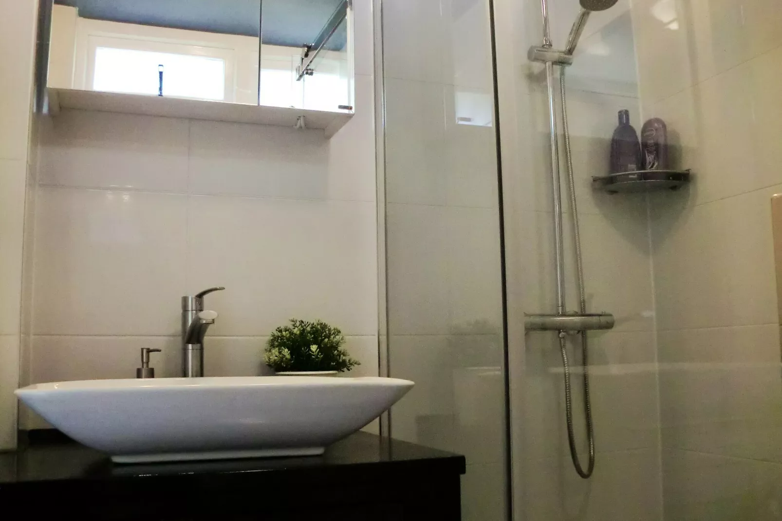 Noordzee-Bathroom