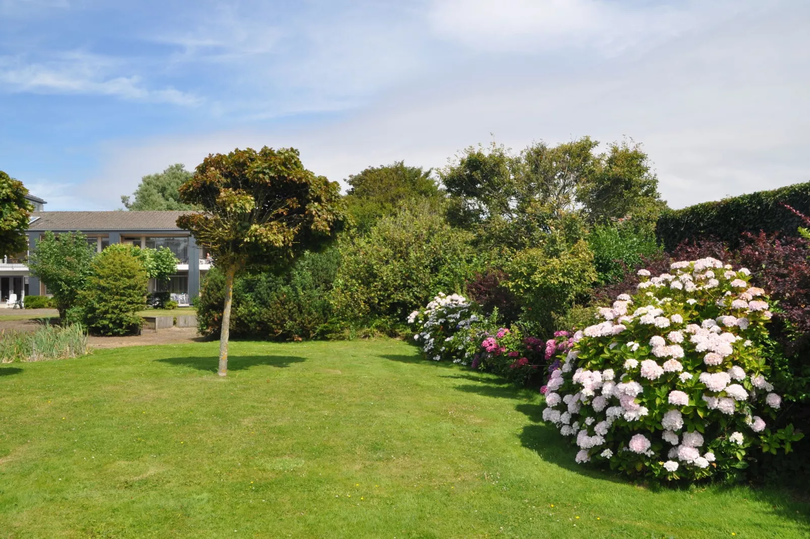 Noordzee-Gardens summer