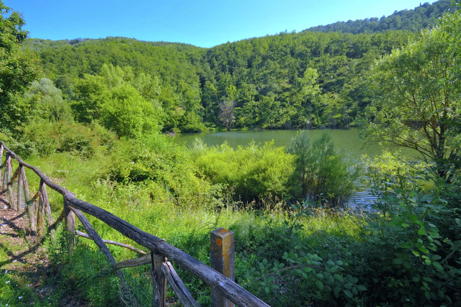 Liscino-Areas summer 1km