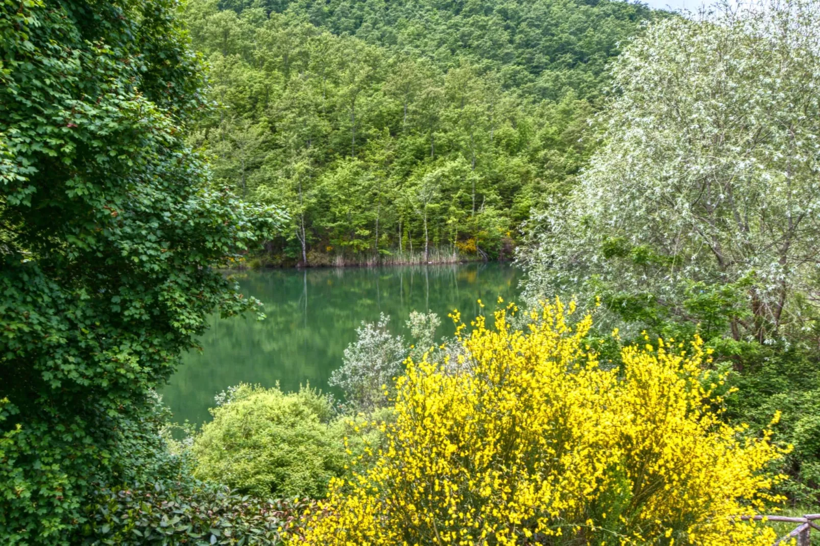Liscino-Areas summer 1km