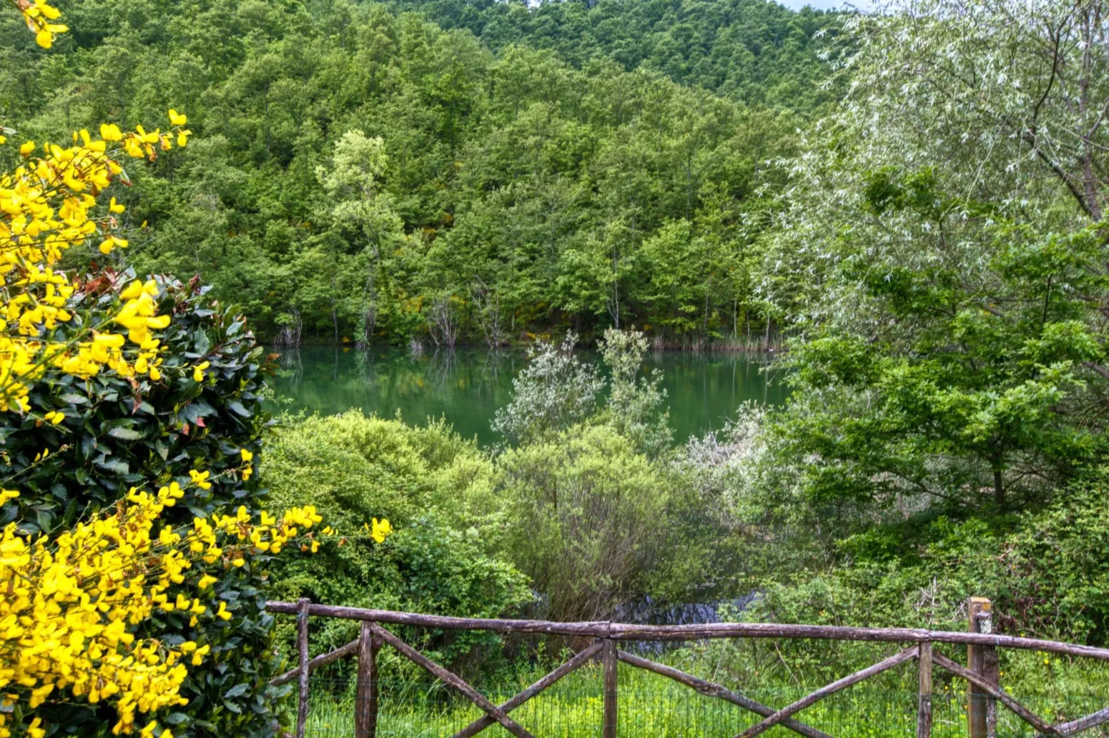 Liscino-Areas summer 1km