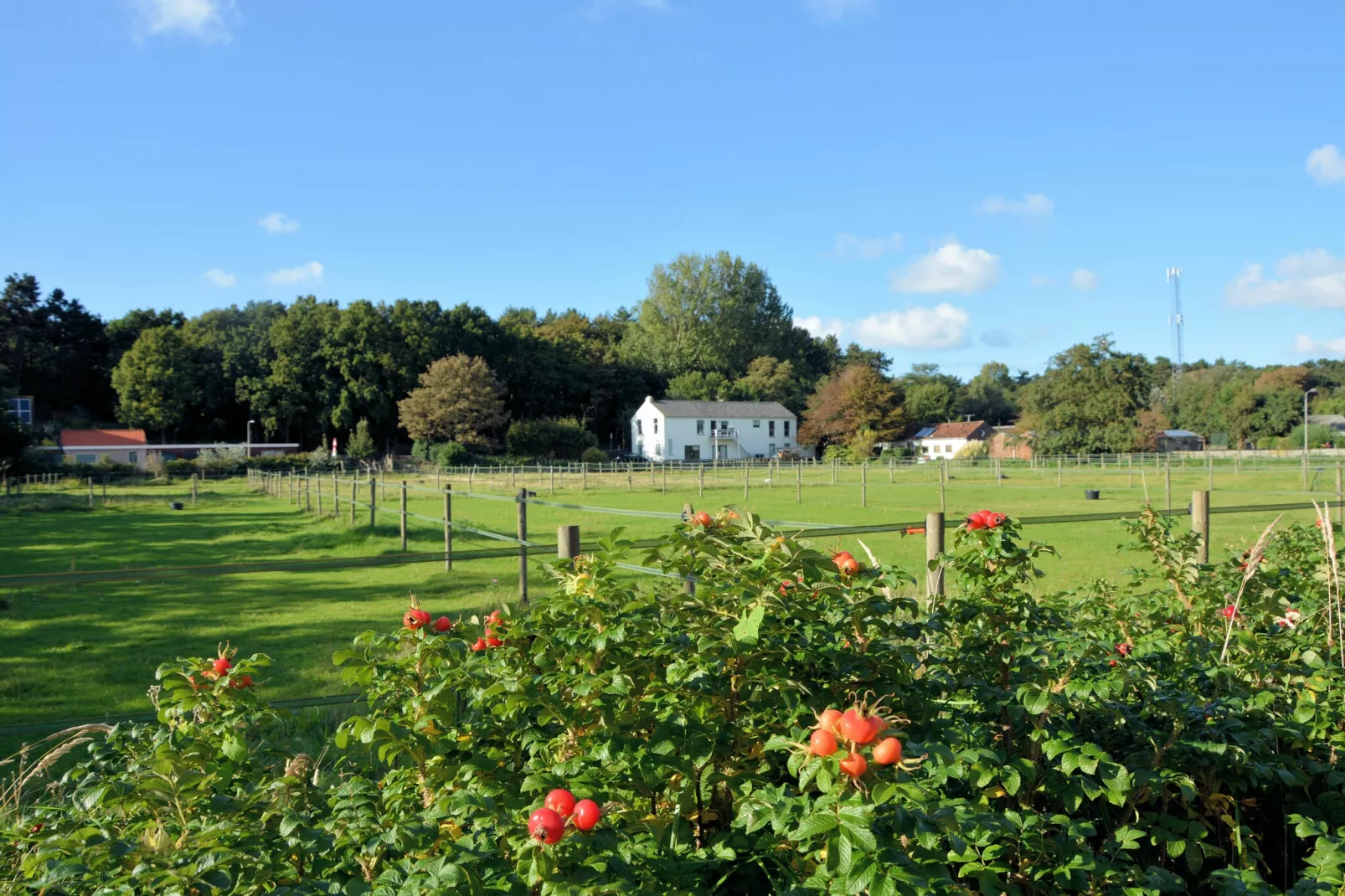 Noordzee-Park facilities