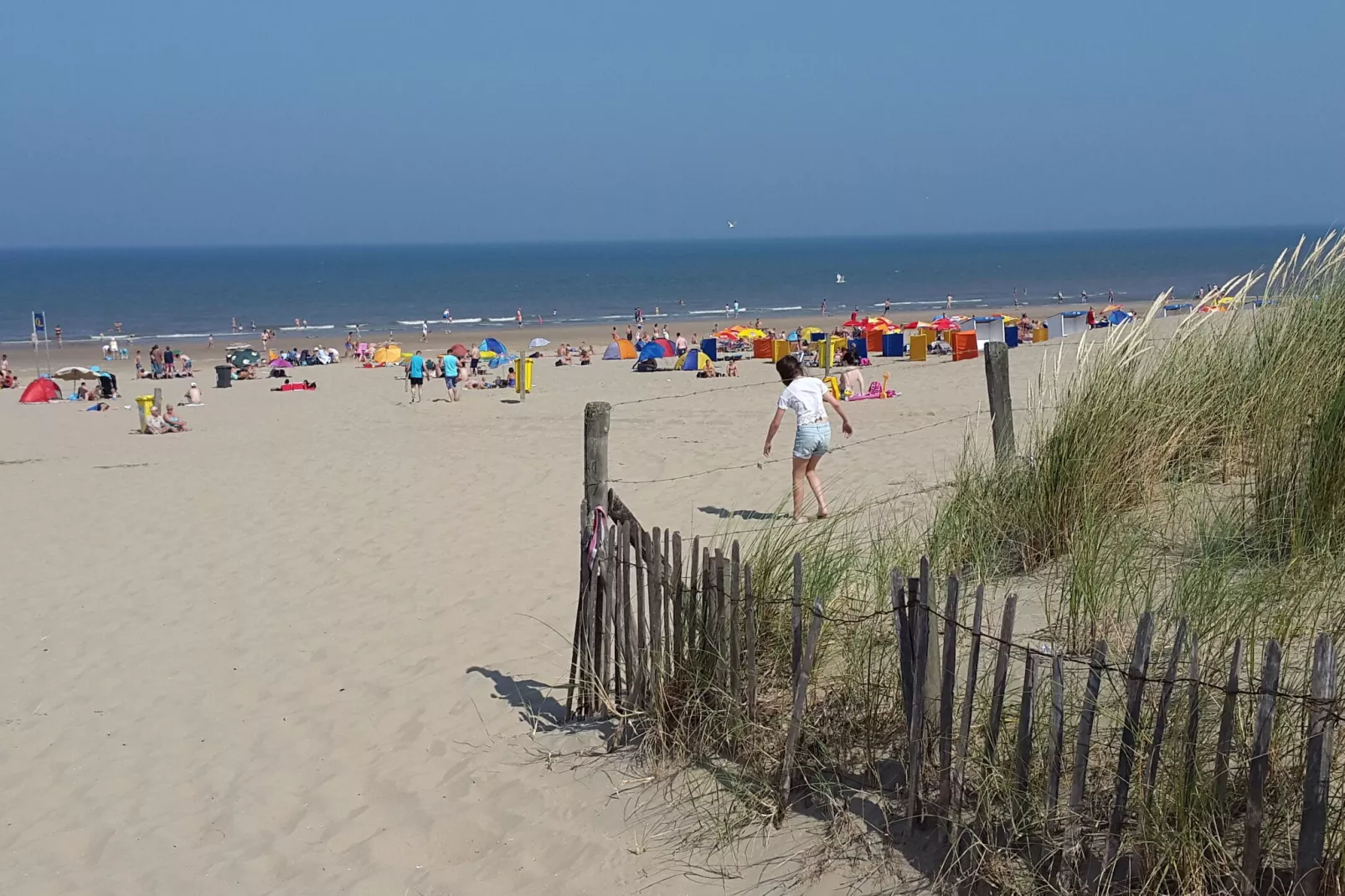 Noordzee-Areas summer 5km