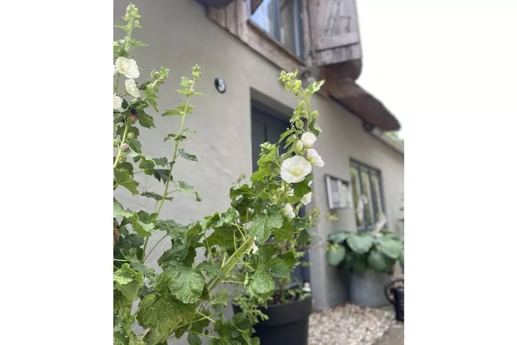 210746-Nicht getaggt