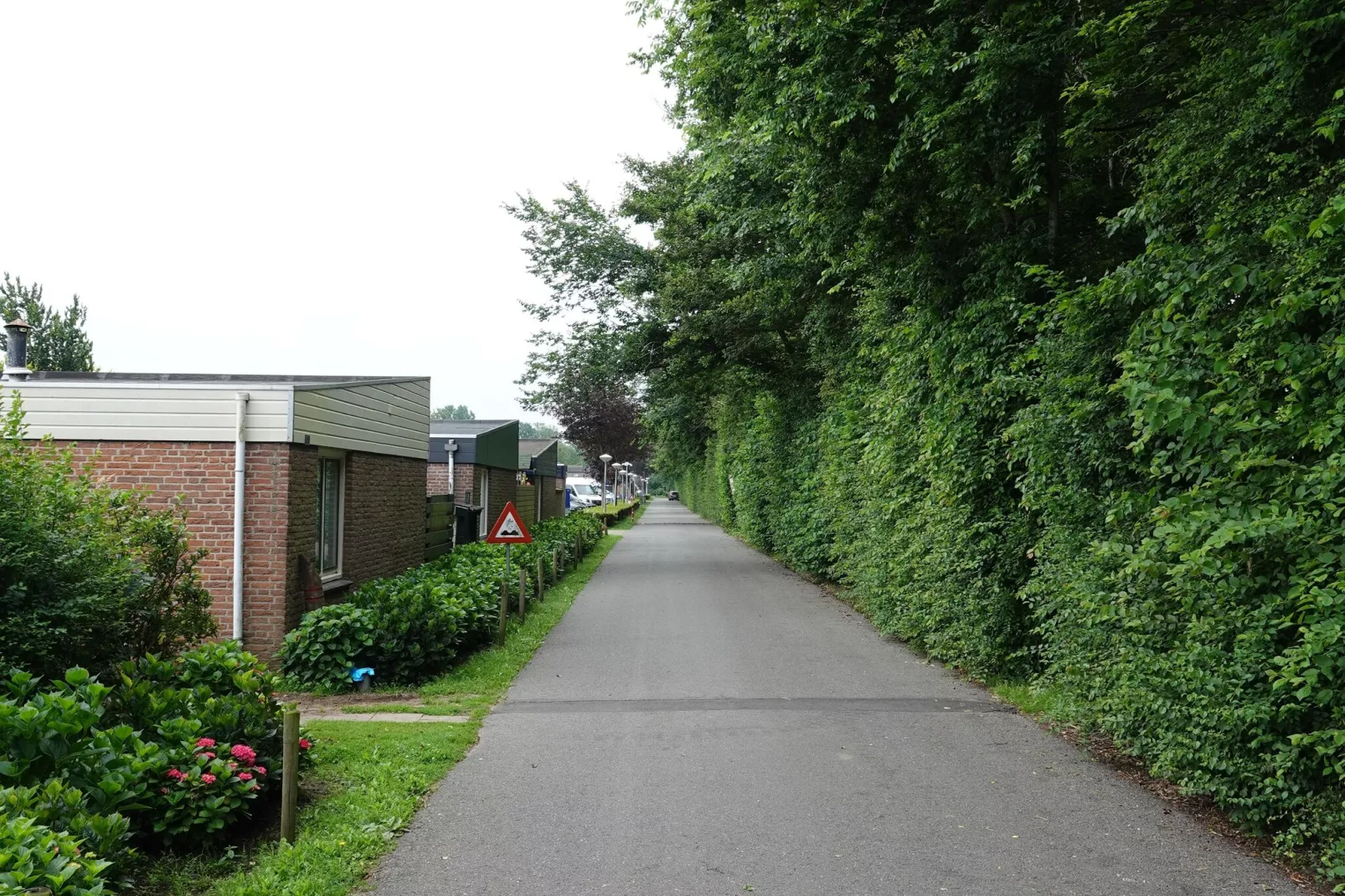 Calm Breeze-Areas summer 1km