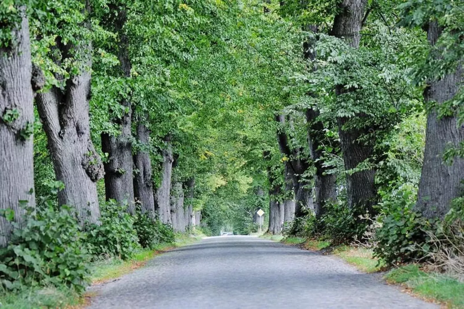 Gutshaus Zicker -Wohnung 5-Gardens summer