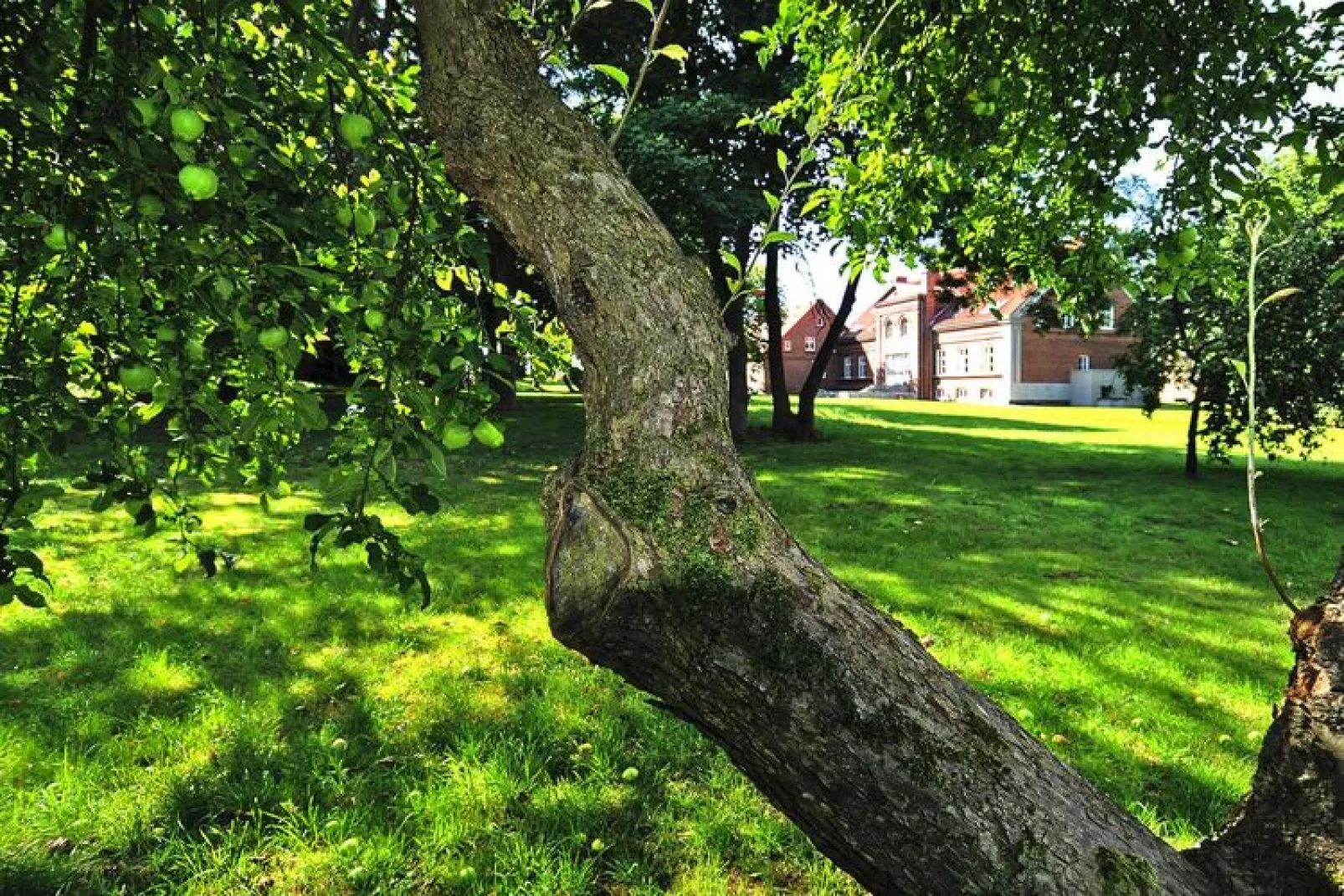 Gutshaus Zicker -Wohnung 5-Gardens summer