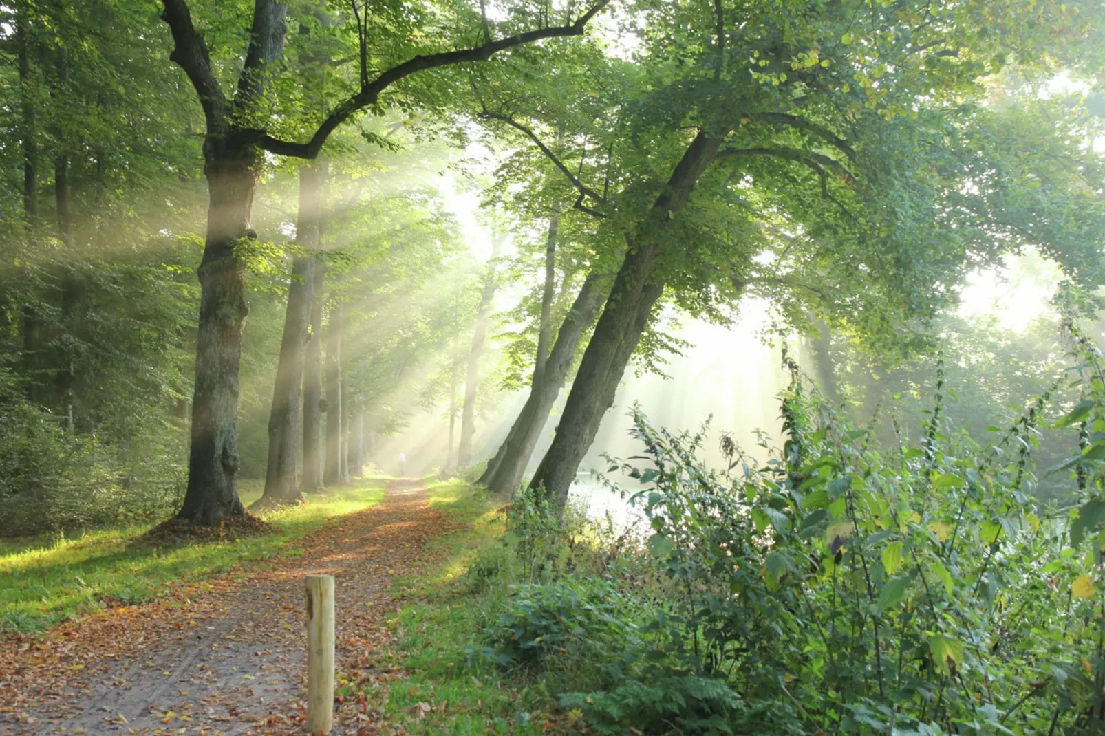 Het Roefje-Areas summer 1km