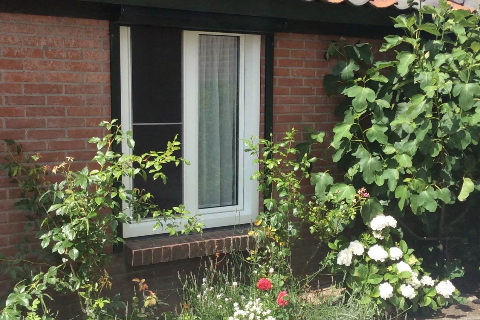 De Cottage-Exterior summer