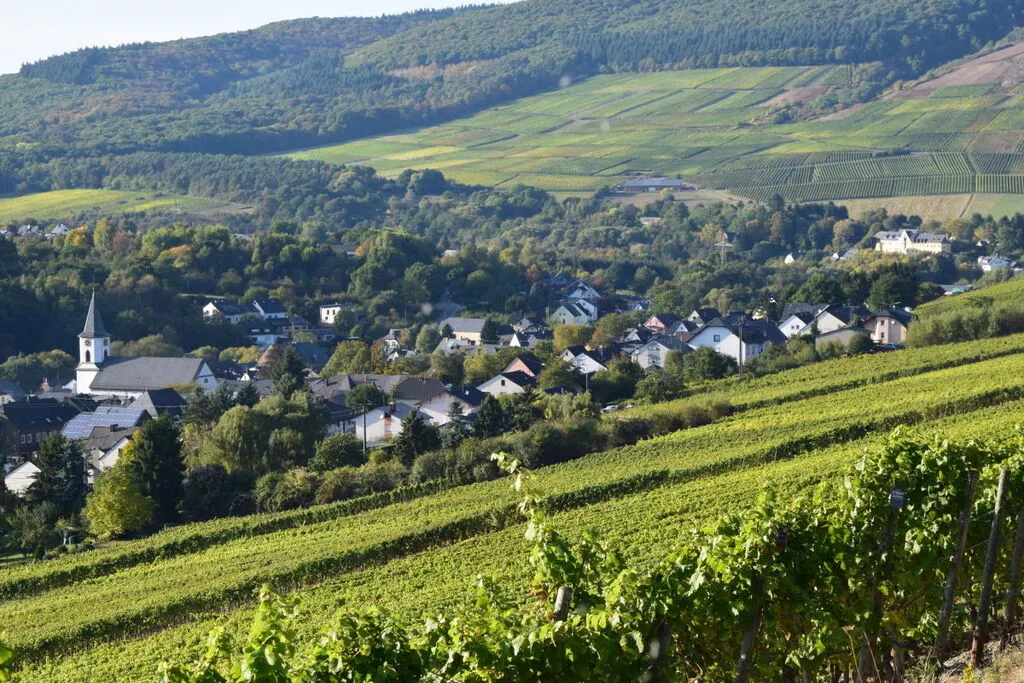 126372-View
