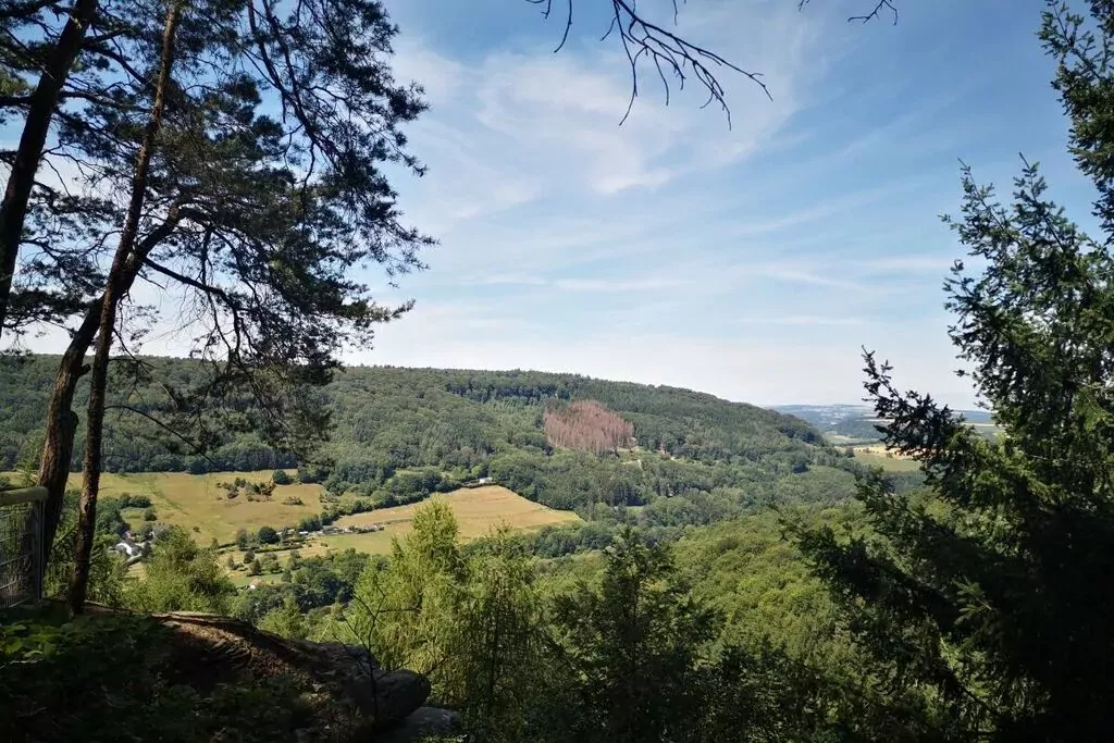 217384-View