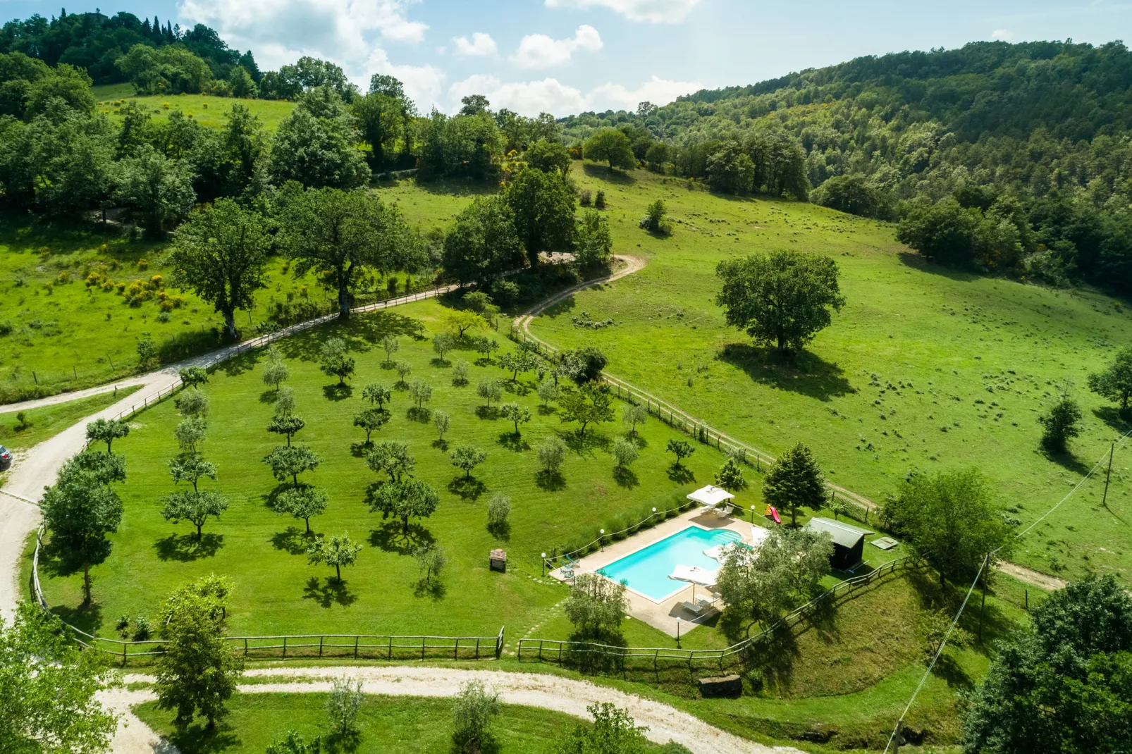 Azalea-Pool