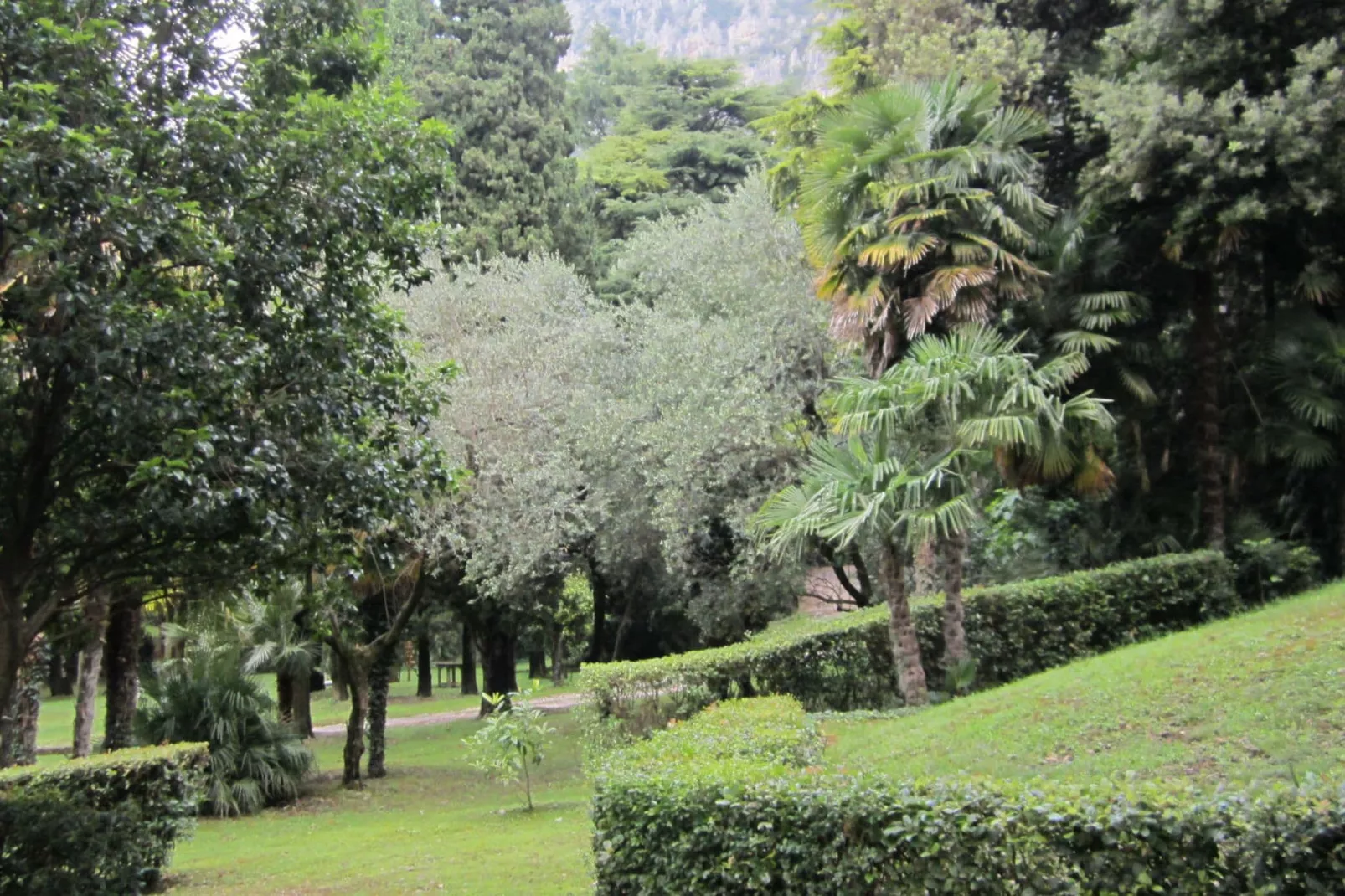 Villa Mary-Gardens summer