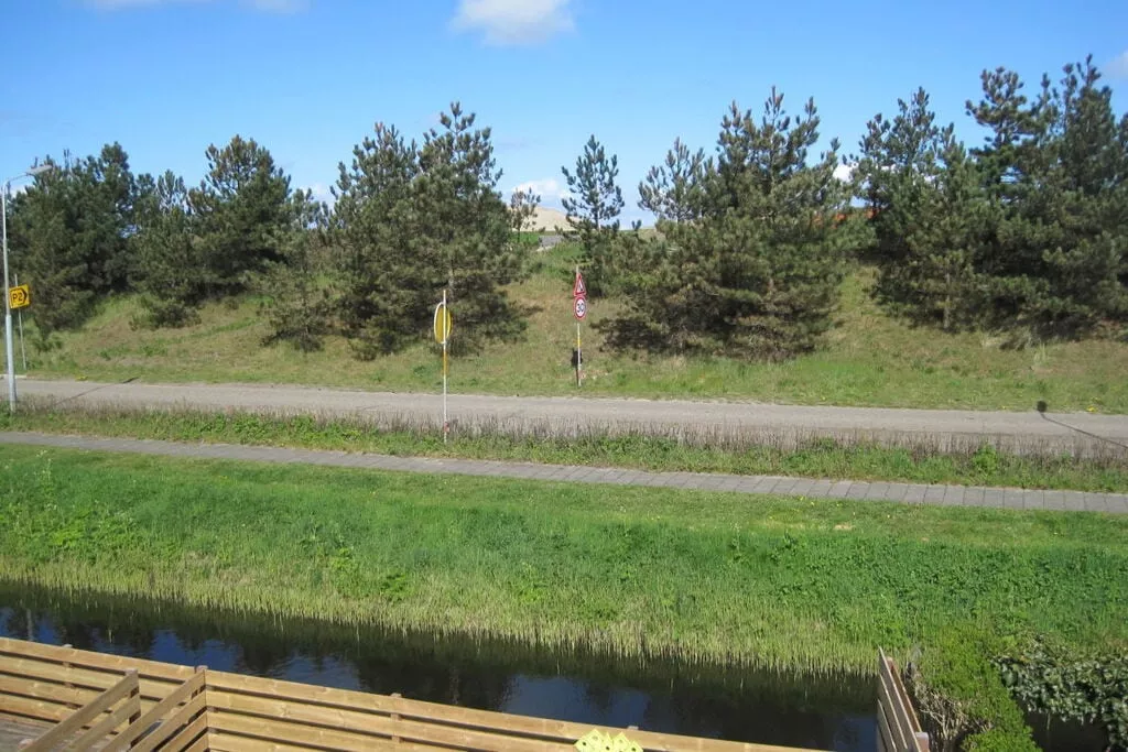 116584-View
