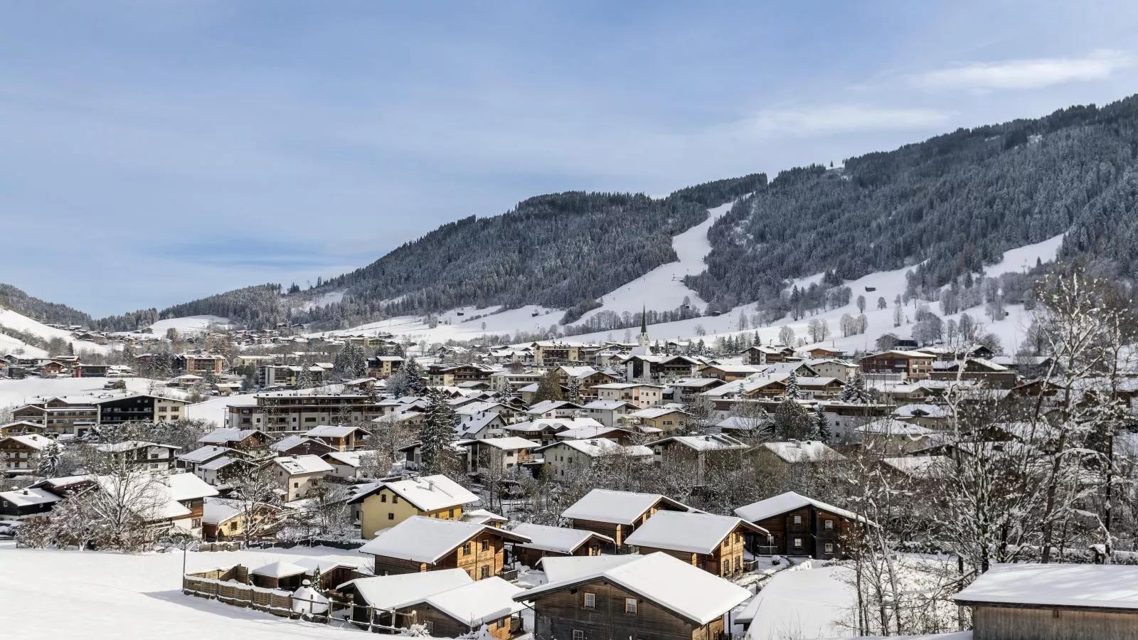 Urige Doppelhaushälfte 11-View winter