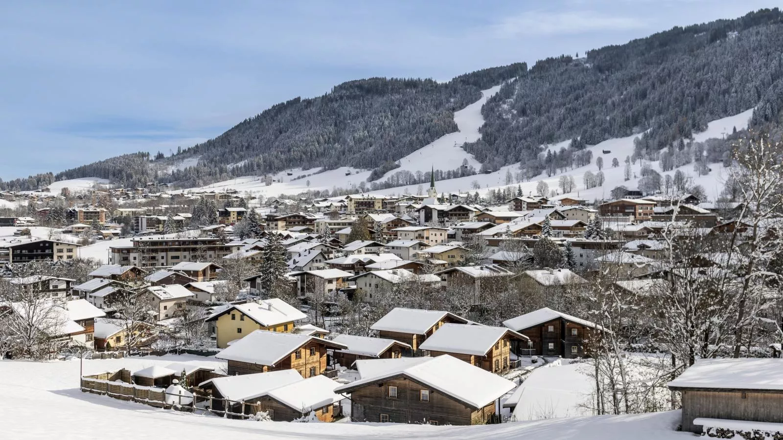 Uriges Chalet 3-Area winter 1km