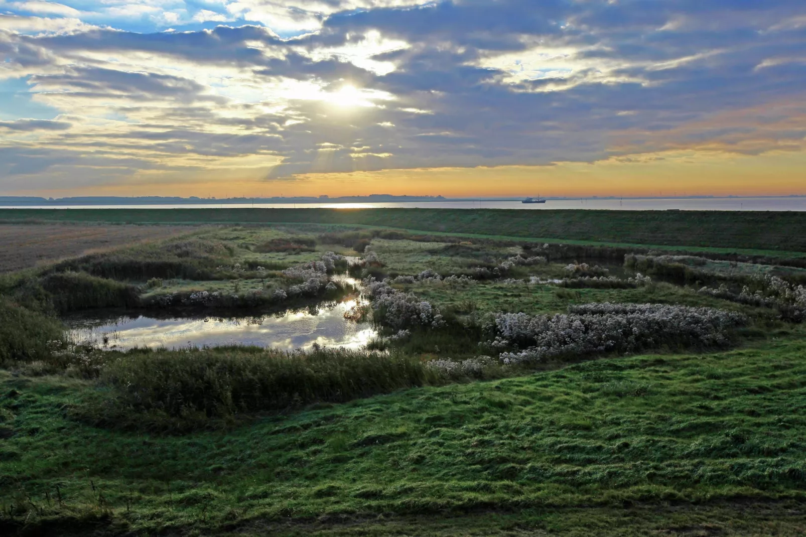 Water Resort Oosterschelde 16-Areas summer 1km