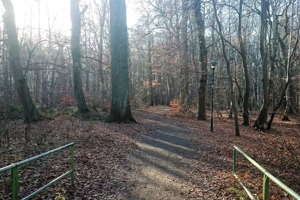 135880-Nicht getaggt