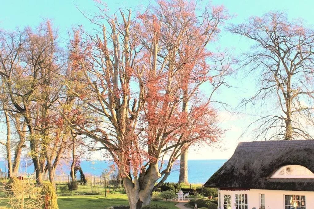 194676-View