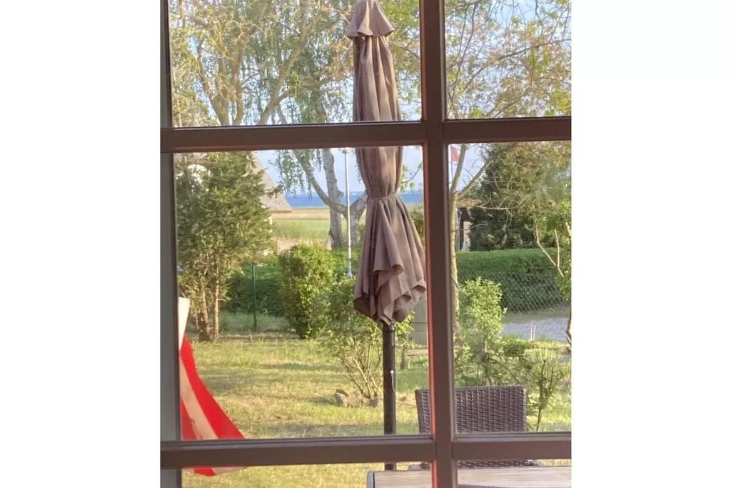 113894-View