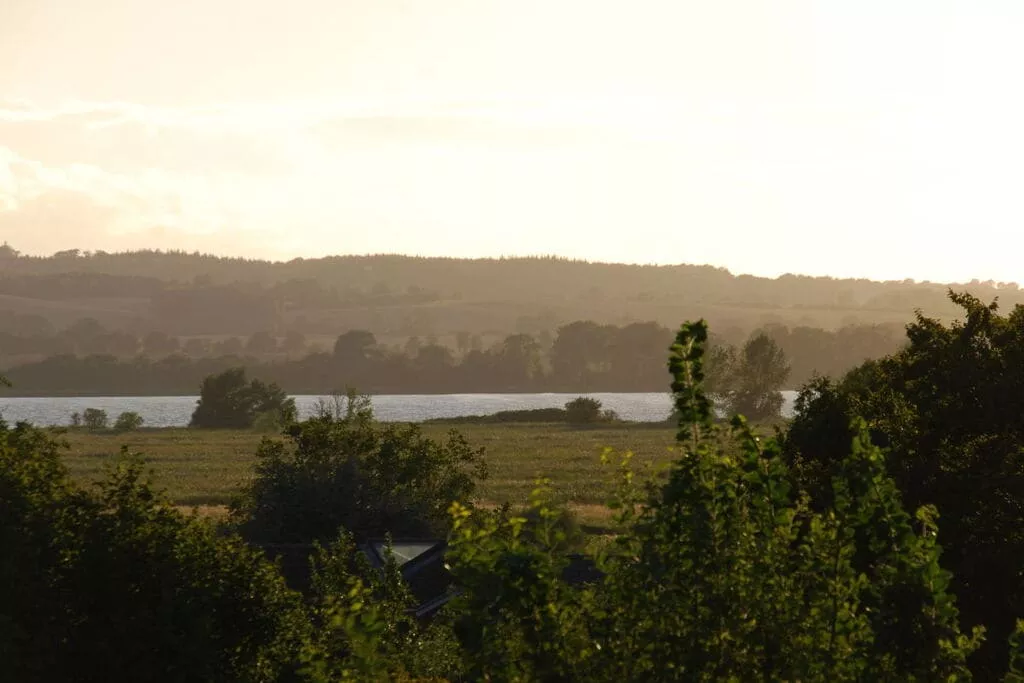 142831-View