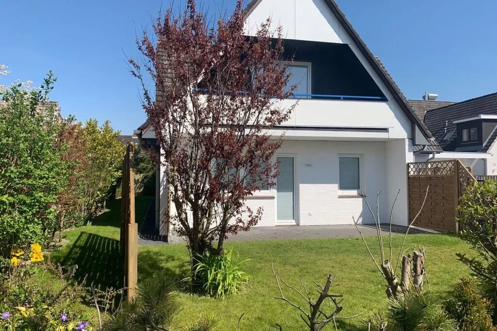 218427-Terrace