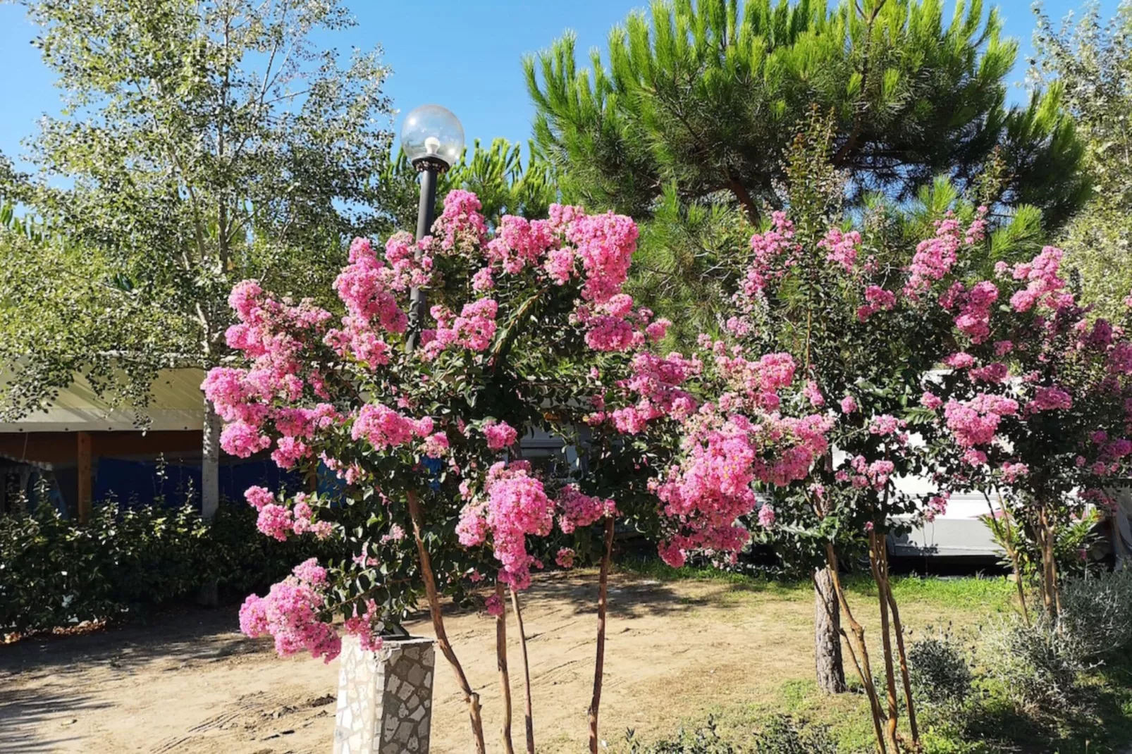 Camping Paradiso Viareggio 1-Areas summer 1km