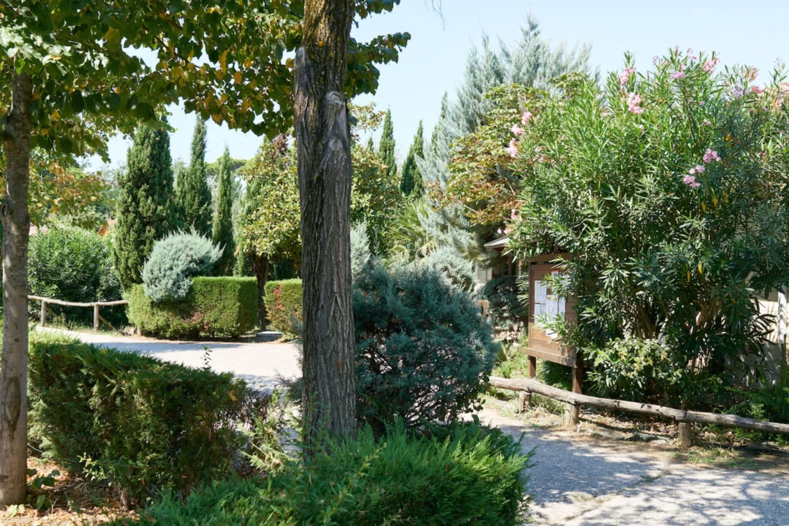 Camping Paradiso Viareggio 1-Areas summer 1km
