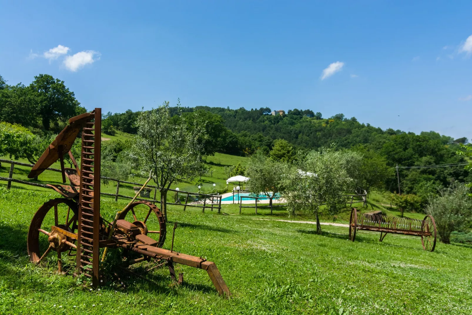 Gelsomino-Gardens summer
