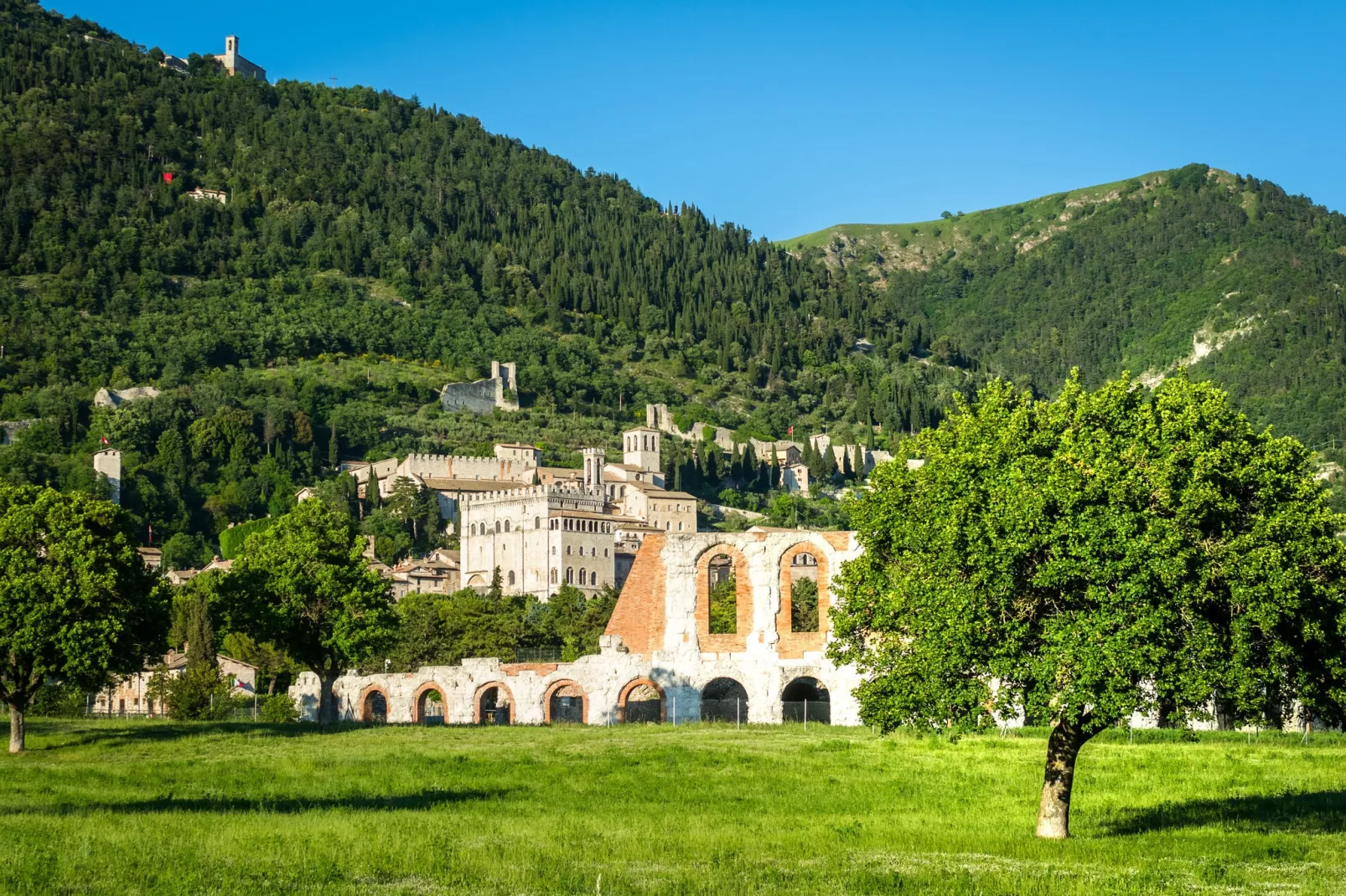 Gelsomino-Areas summer 20km