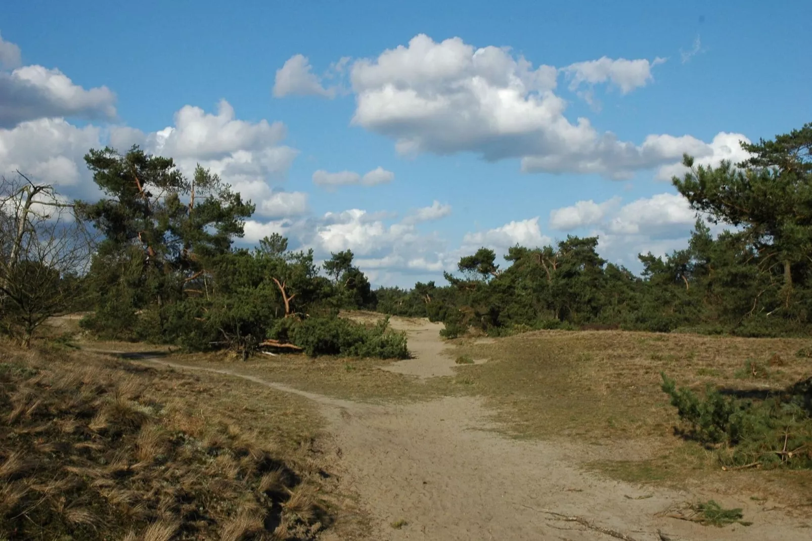 Chalet Kieftveen Voorthuizen II 4 pax -817-Areas summer 1km