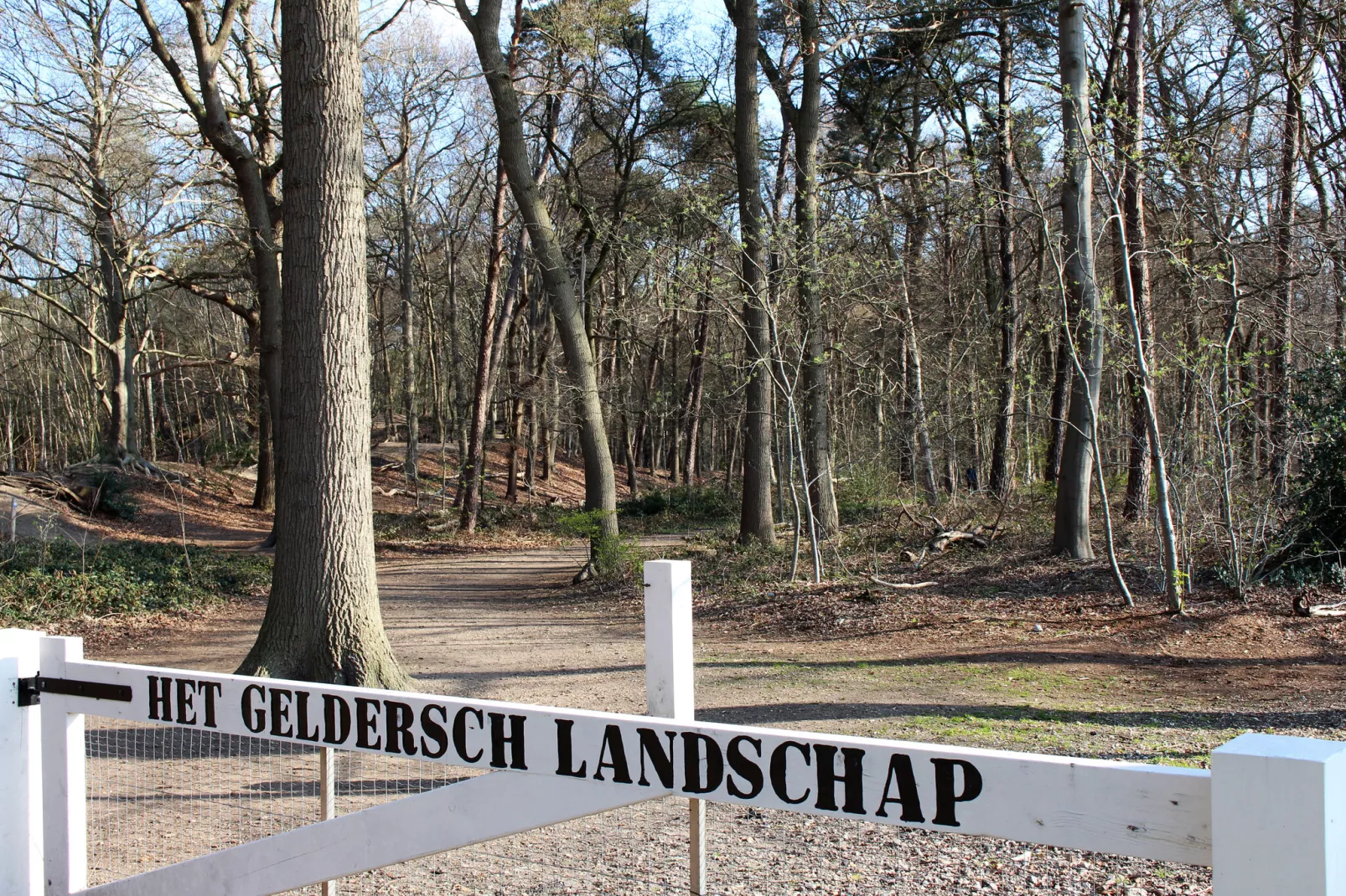 Chalet Kieftveen Voorthuizen II 4 pax -817-Area winter 5km