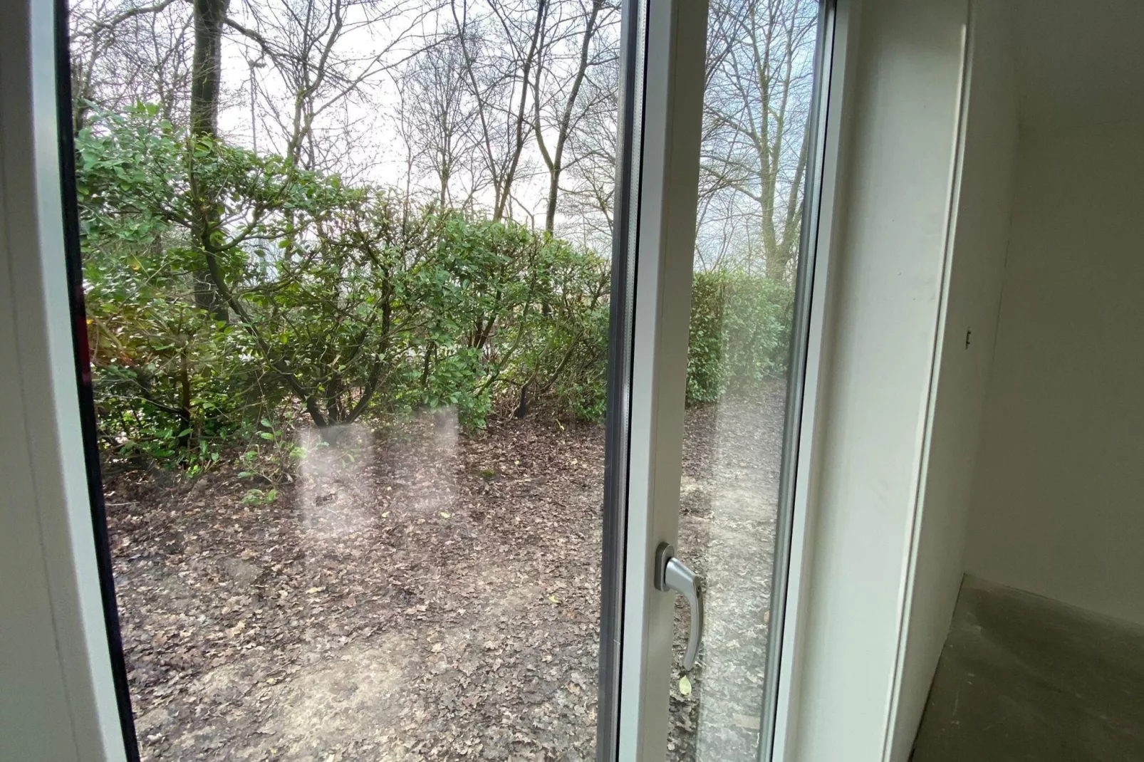 Dwergarend 17-16-View winter