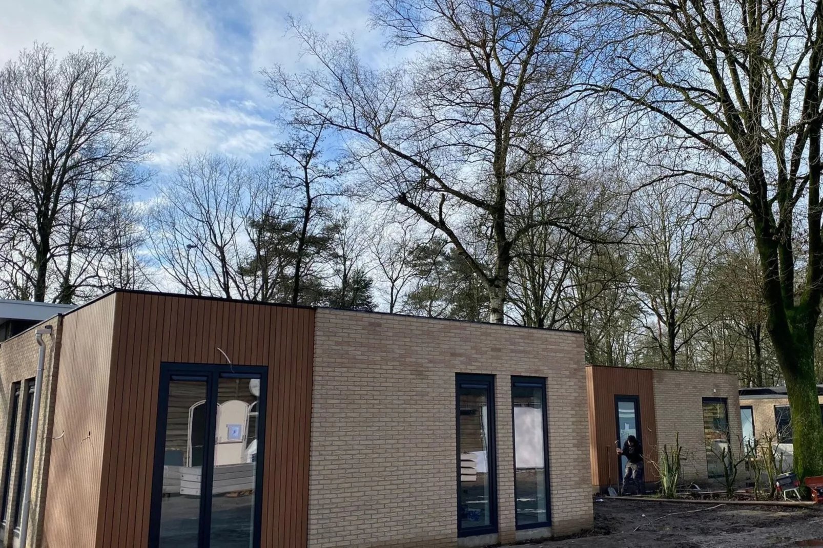 Dwergarend 17-35-Exterior winter