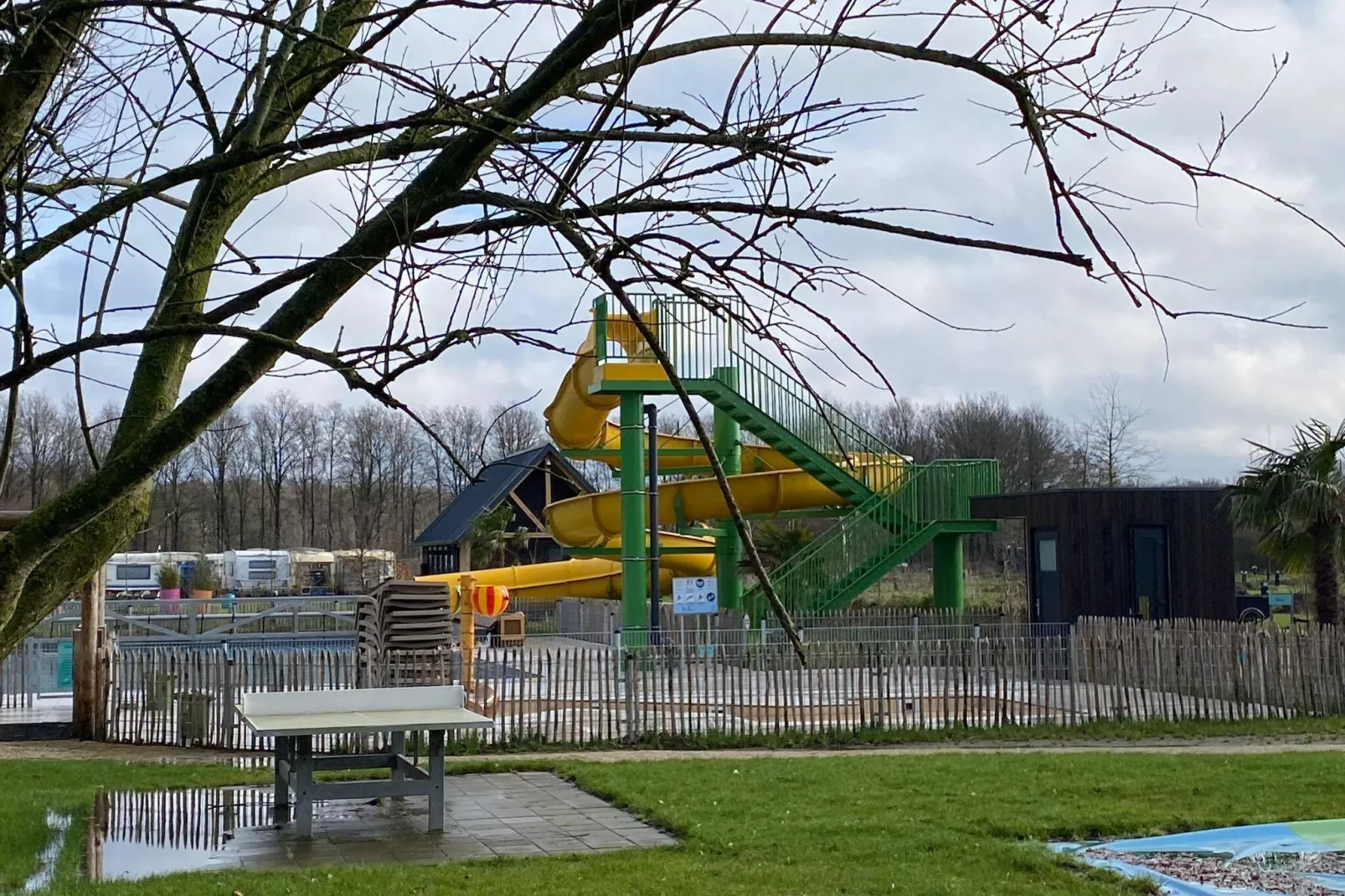 Dwergarend 17-35-Pool
