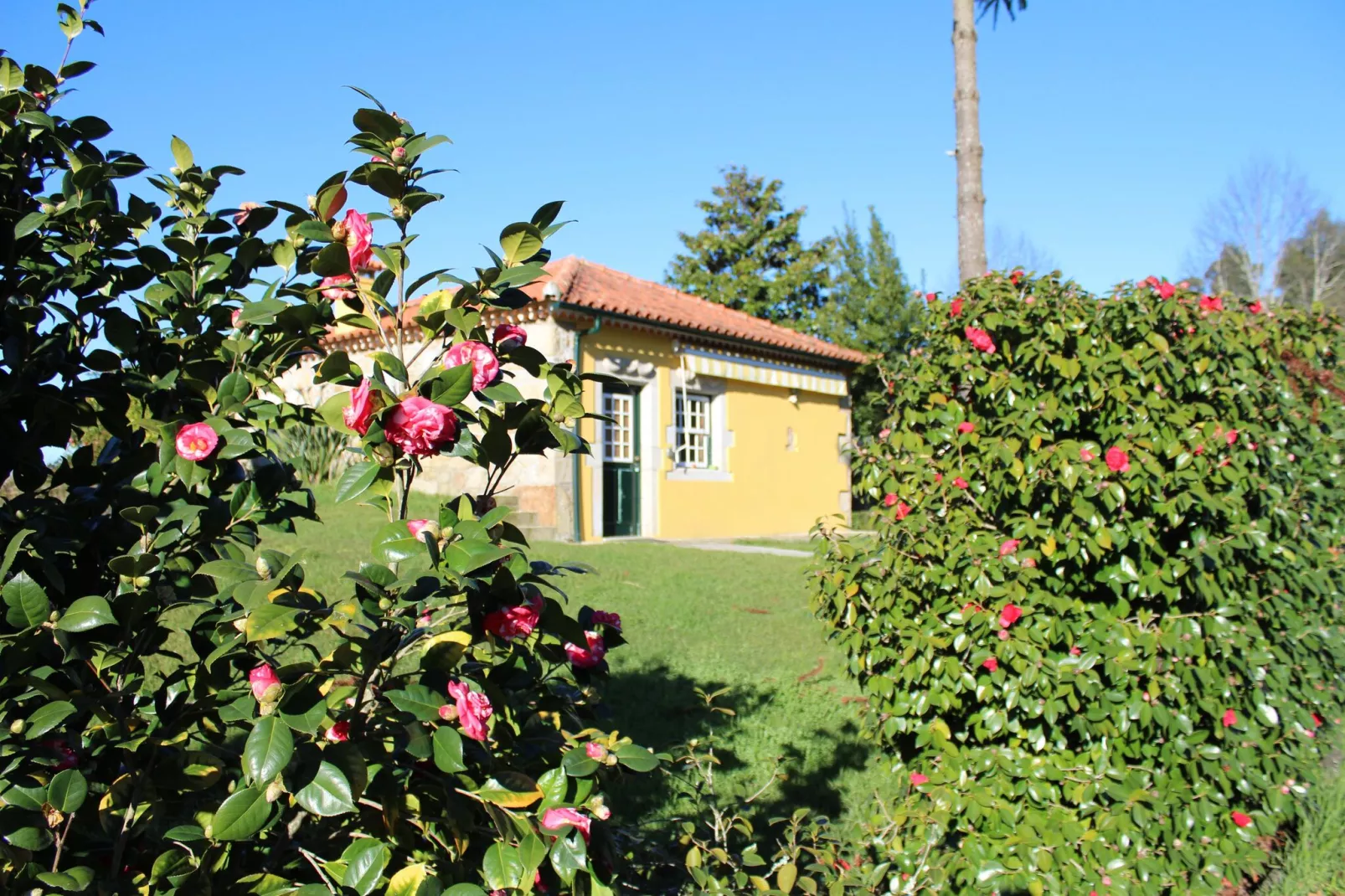 Casa do Pelourinho-Gardens summer