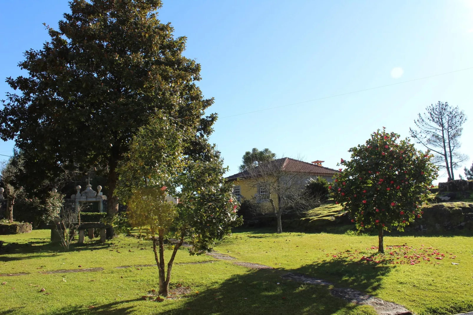 Casa do Pelourinho-Gardens summer
