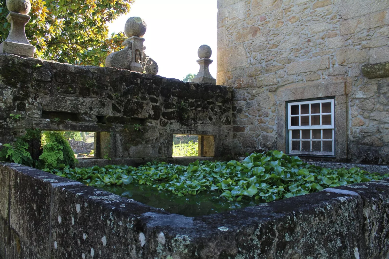 Casa do Pelourinho-Gardens summer