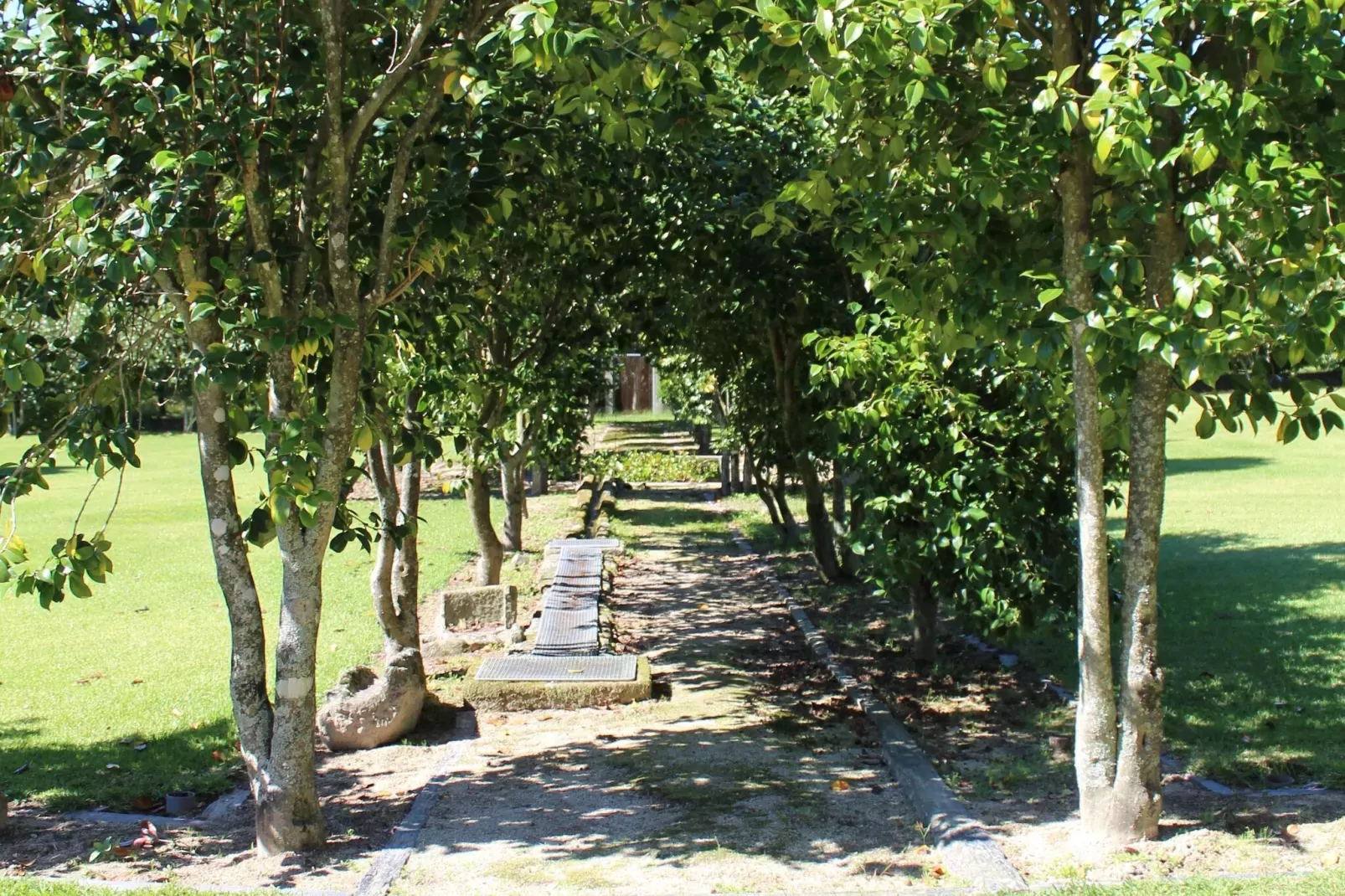 Casa do Pelourinho-Areas summer 1km