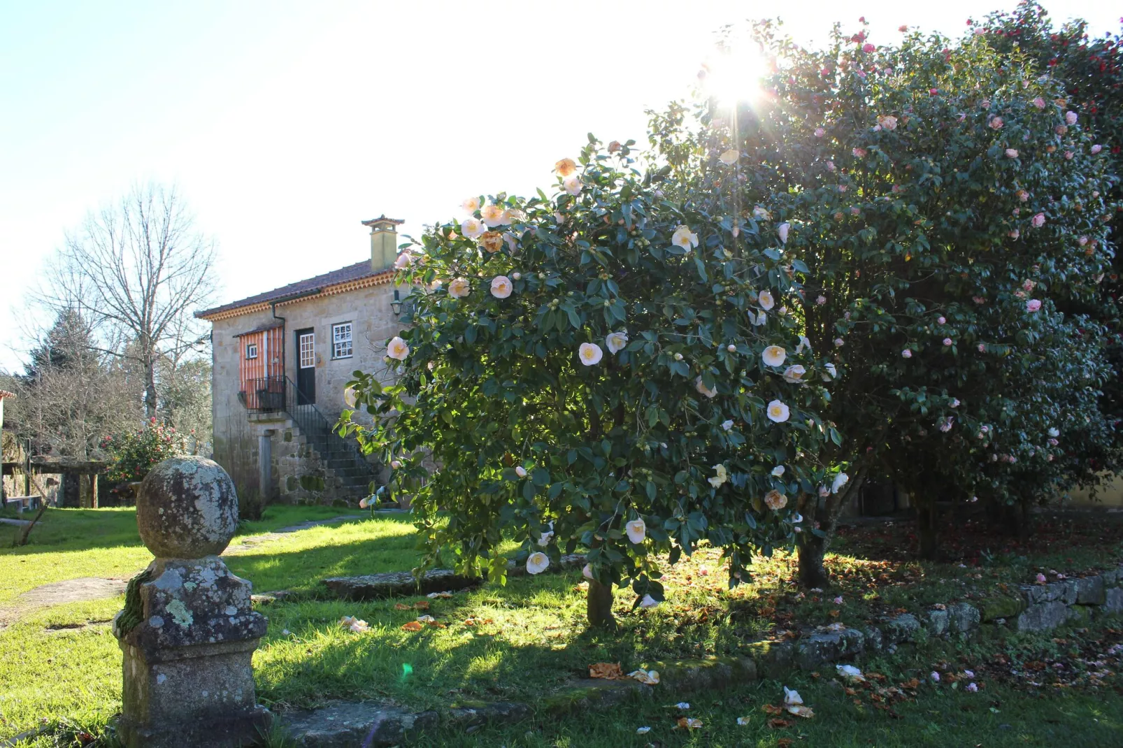 Casa da Adega-Gardens summer