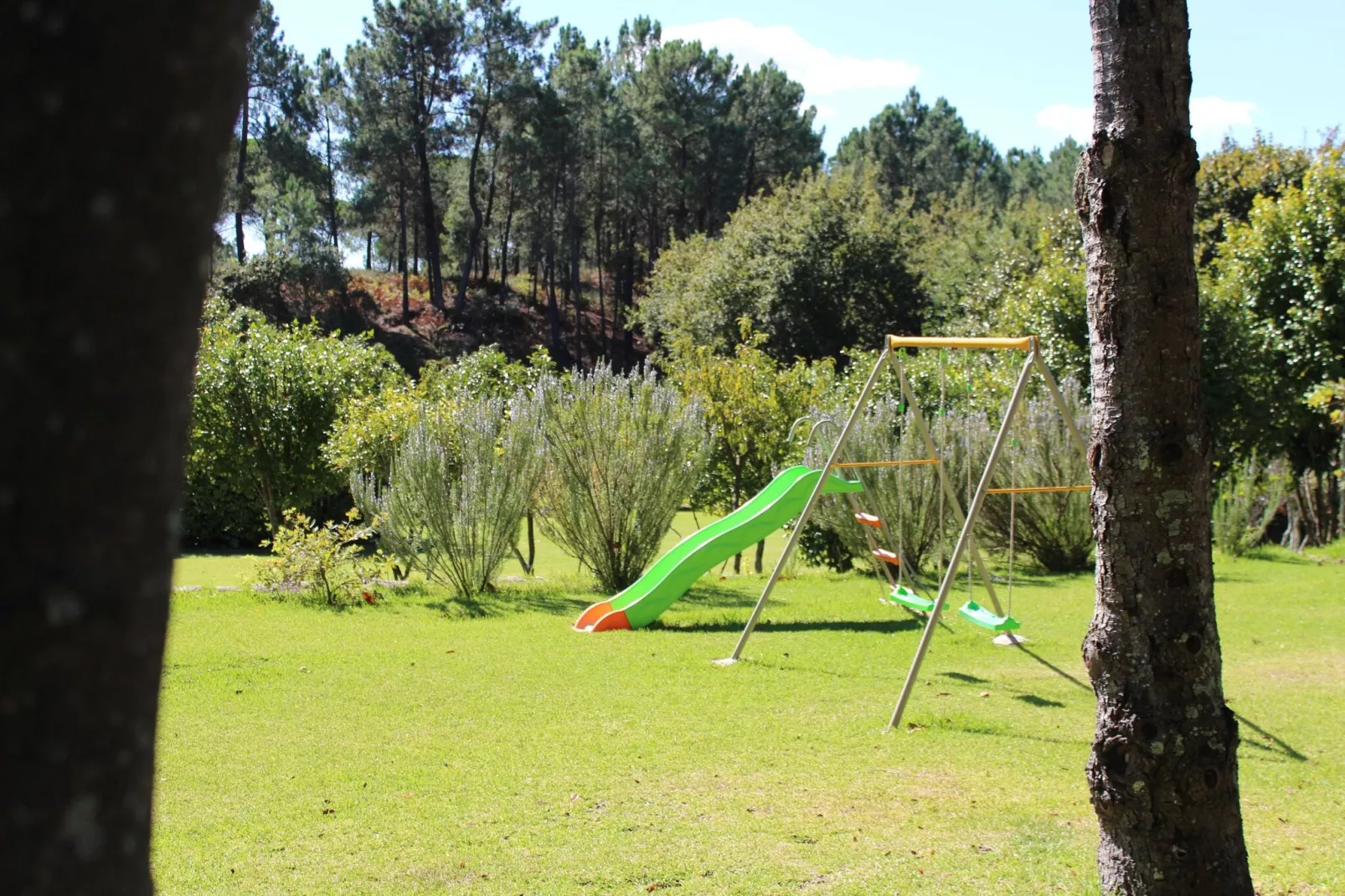 Casa da Adega-Gardens summer