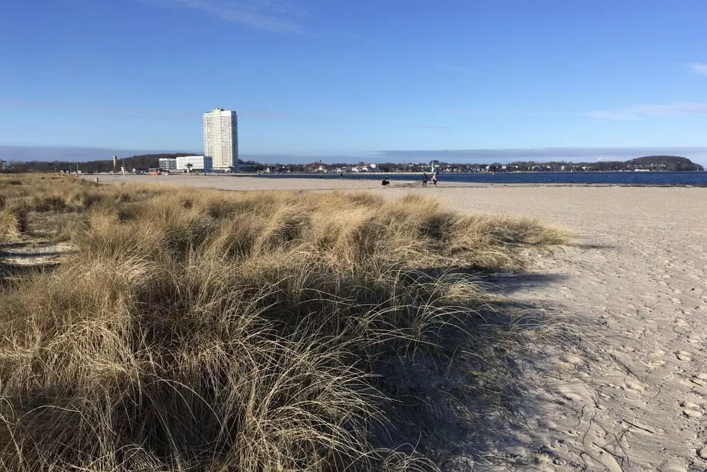 382113-View