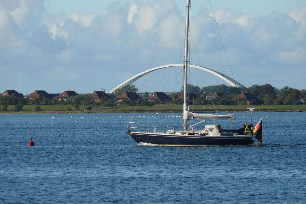 293941-View