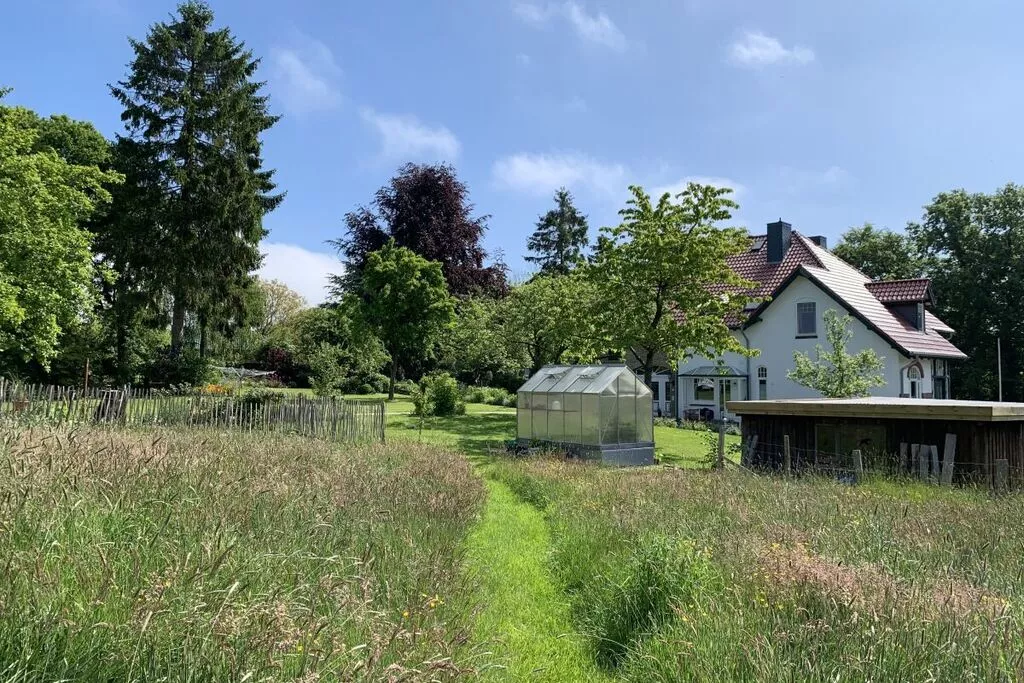 298436-View