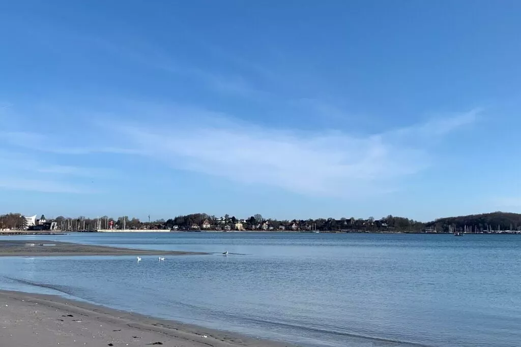 389931-View