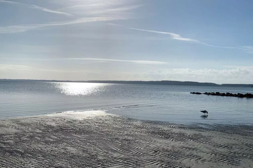 389931-View
