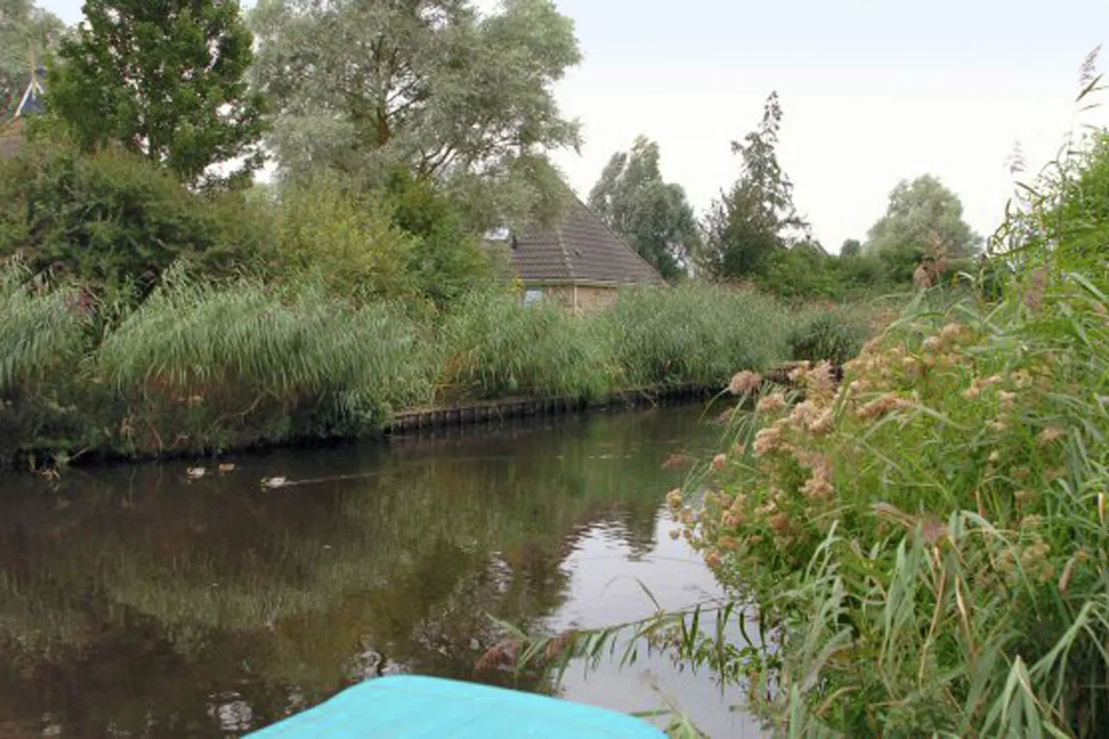 Wellness aan het Water-View summer